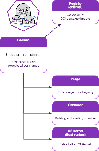 Podman Architecture